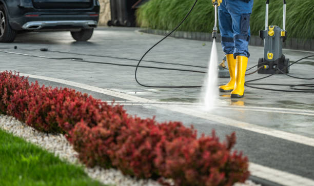 Professional Pressure Washing Services in North Miami, FL